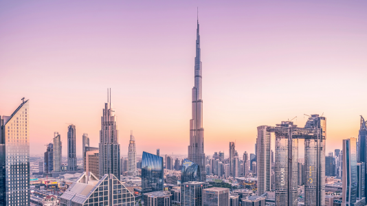 تتصدر دولة الإمارات قائمة  دول الخليج في الاستثمارالأجنبي المباشر